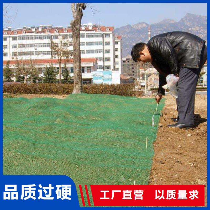 三维植被网,【三维土工网垫】多种工艺严格把控质量