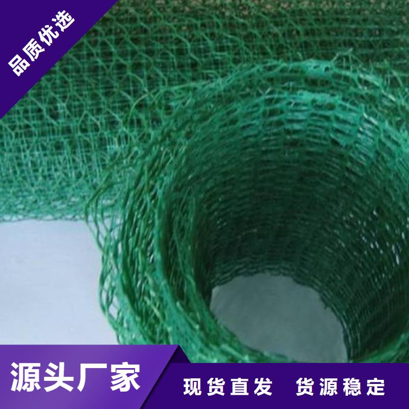 三维植被网价格有优势厂家拥有先进的设备