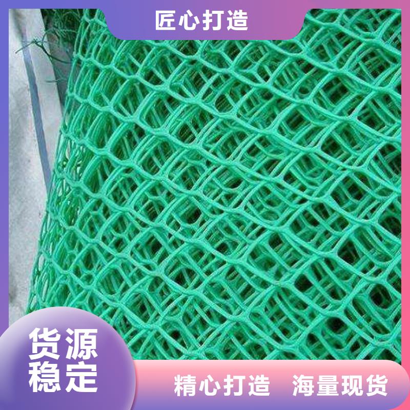 三维植被网|三维网垫植草护坡|三维土工网垫厂家符合标准
