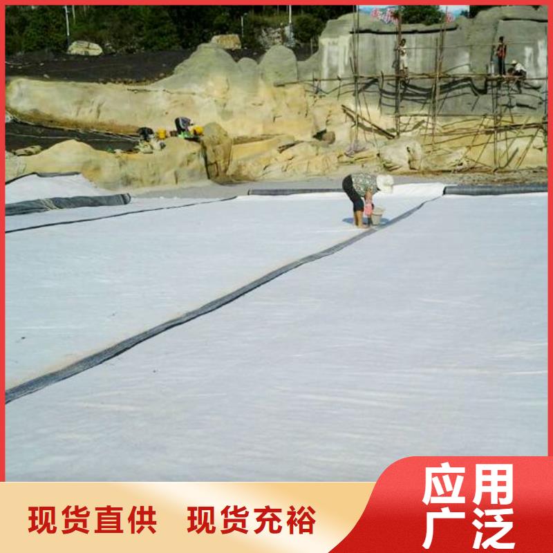 膨润土防水毯-土工席垫选择我们没错诚信经营