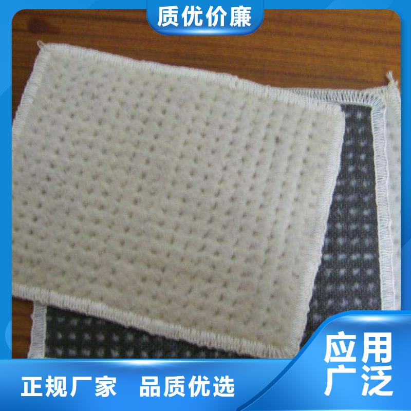 复合土工膜_土工布_防渗膜_防草布_防水毯同城生产商
