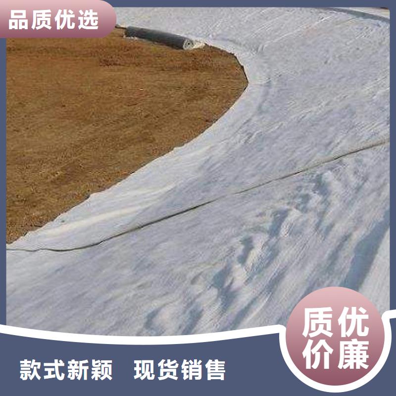 新闻资讯_膨润土防水毯货源足质量好