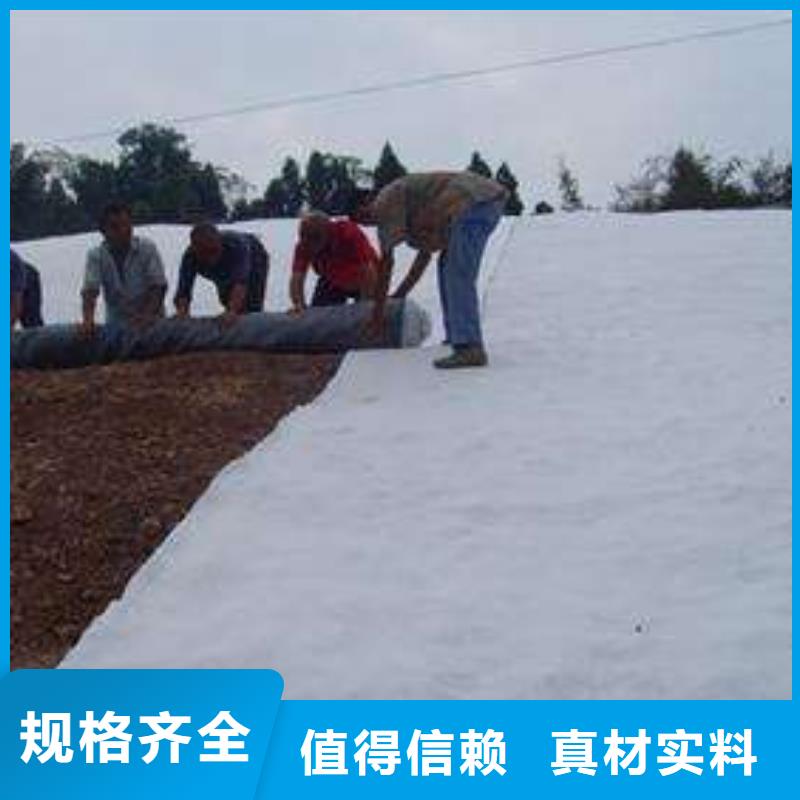 膨润土防水毯生产厂家注重细节