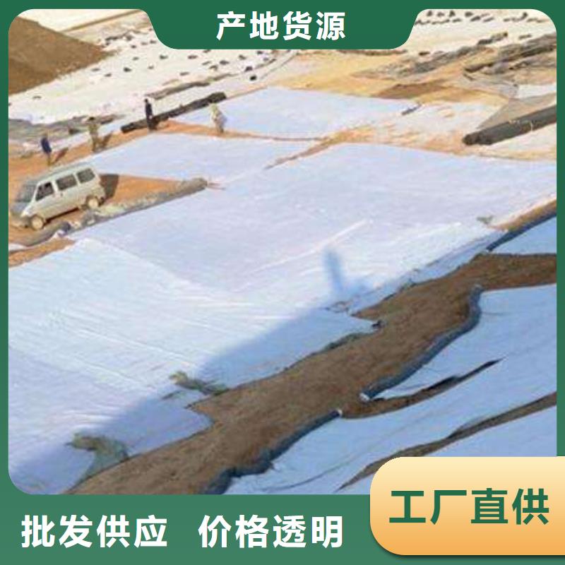膨润土防水毯天然钠基膨润土防水毯厂家直销价格优惠发现货当地服务商