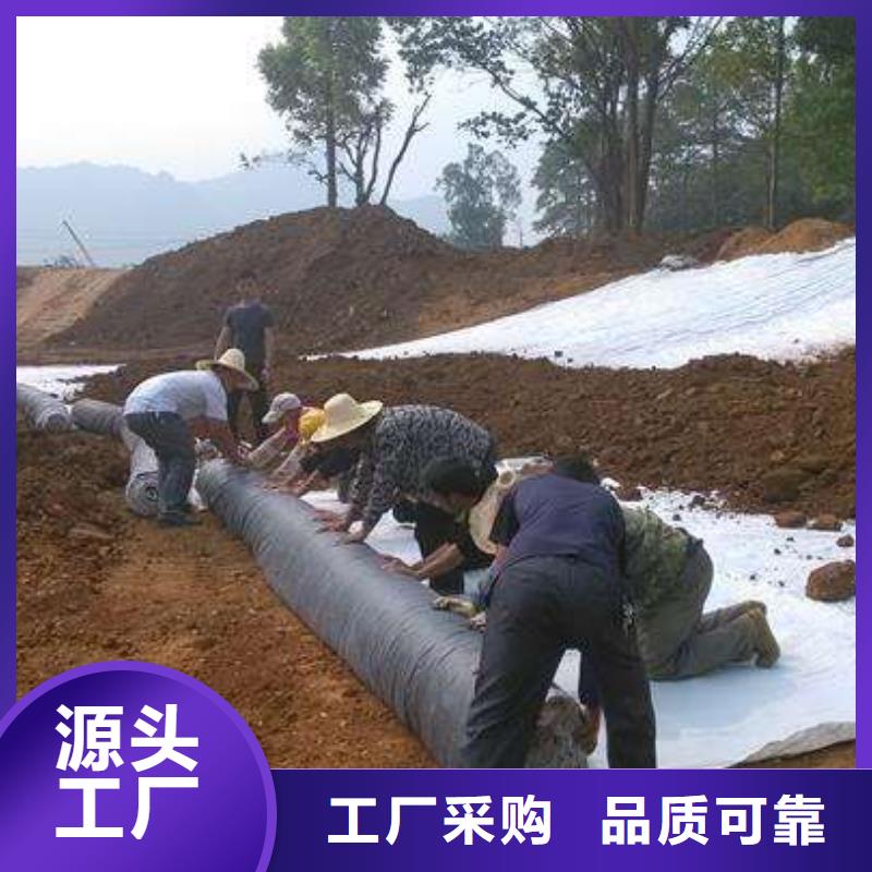 膨润土防水毯【防渗土工膜】厂家现货供应同城公司