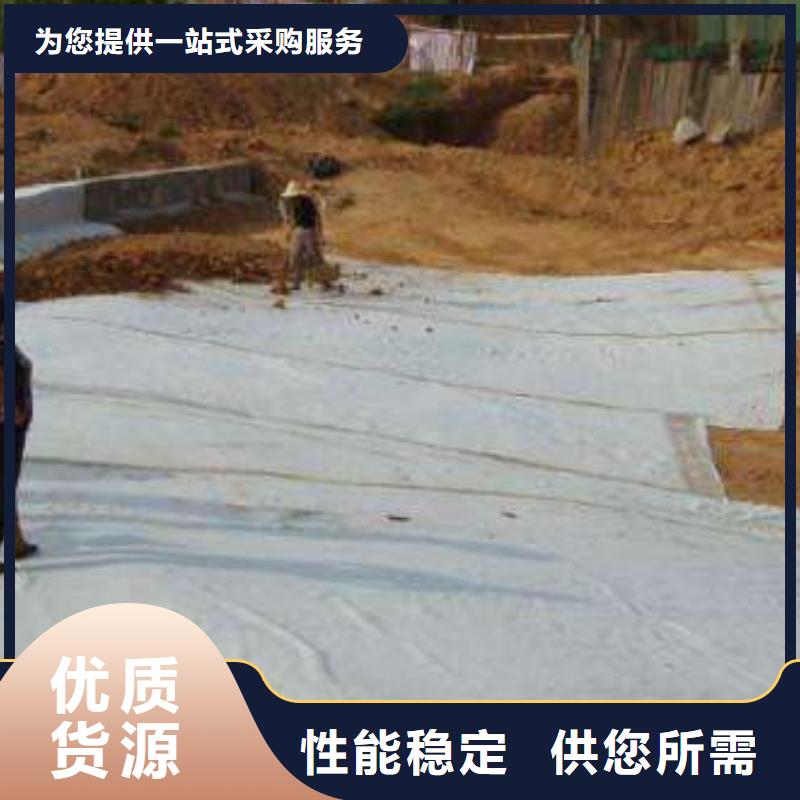 膨润土防水毯_【PP焊接土工格栅】专业供货品质管控欢迎来电咨询