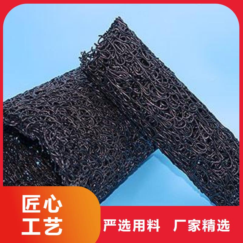 塑料盲沟,三维复合排水网出货快本地生产商