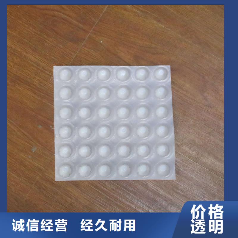塑料防护排水板】塑料防护排水板价格_塑料凸片排水层本地货源