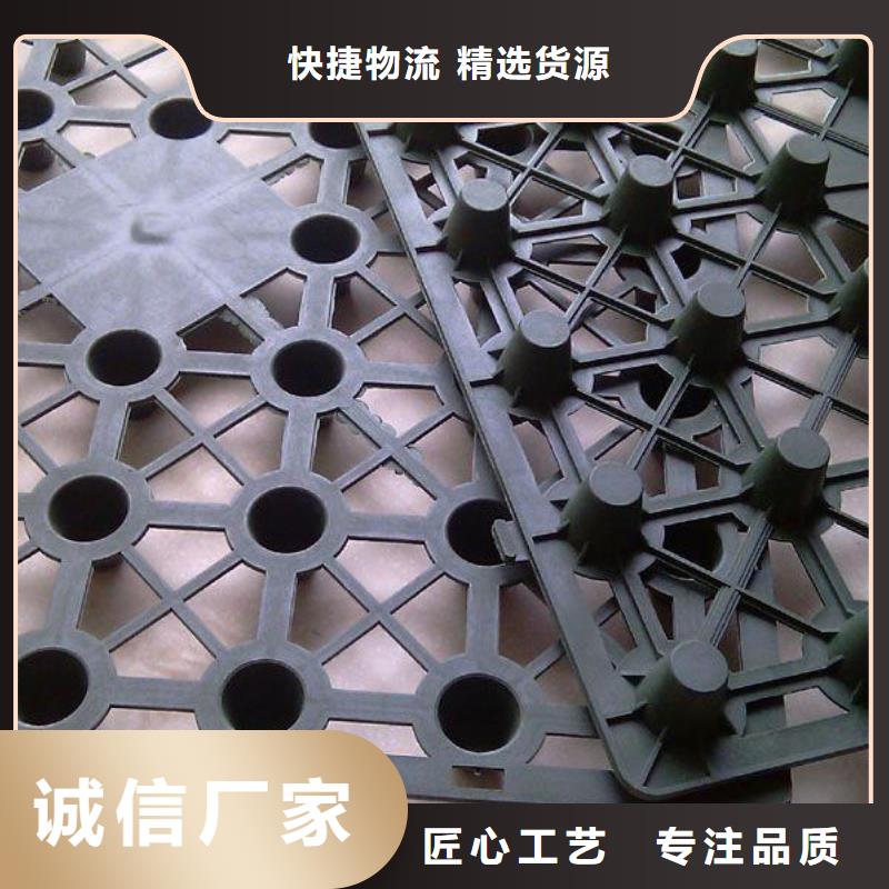 【排水板,双向塑料土工格栅出货及时】品质优良