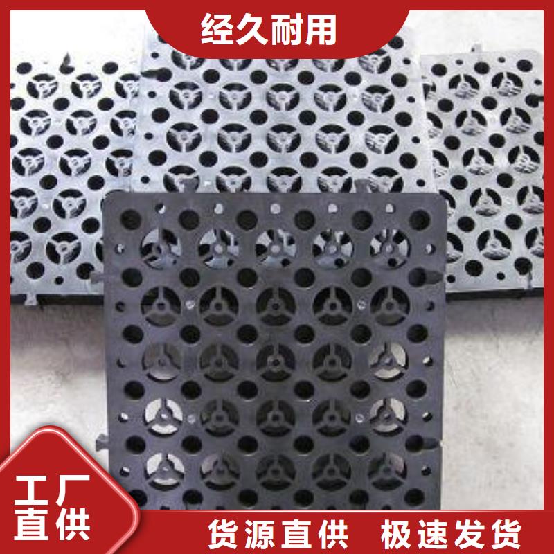 塑料排水板的施工工艺_排水板厂家直销_园林绿化排水板_河道排水板当地厂家