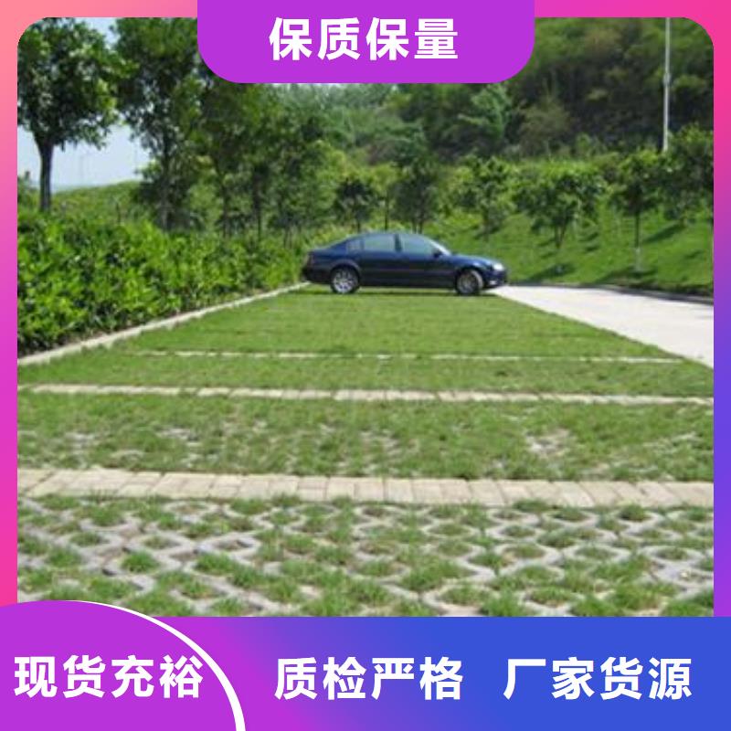 植草格三维土工网垫用好材做好产品批发供应