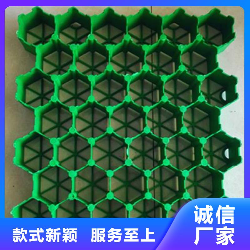 植草格_【涤纶土工格栅】支持定制本地服务商