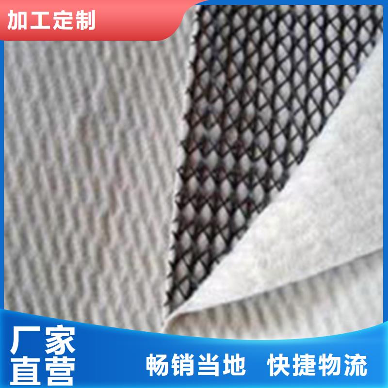 三维复合排水网系列-亿路通源头直供