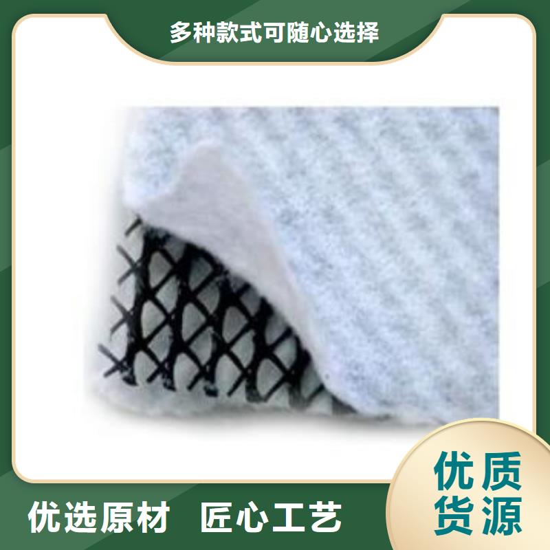 塑料排水网_三维土工排水板_排水网_三维排水网_三维复合排水网好品质选我们