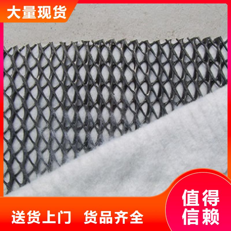 三维复合排水网简介及施工方案当地公司