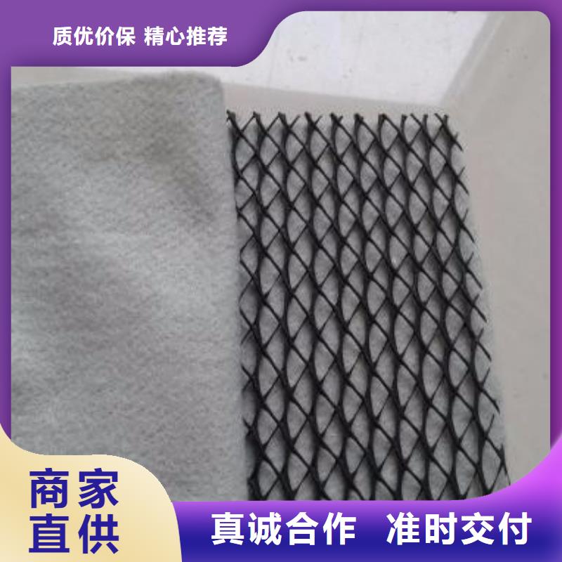 三维复合排水网低价格-厂家直销-货源充足】当地经销商