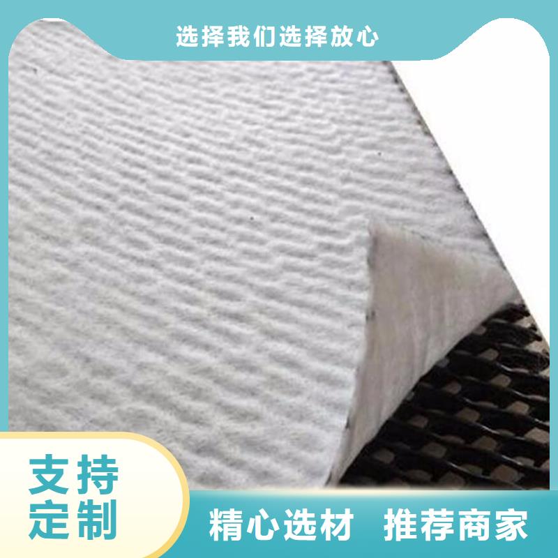 三维复合排水网_塑料排水板价格_蓄排水板厂家源头工厂量大优惠