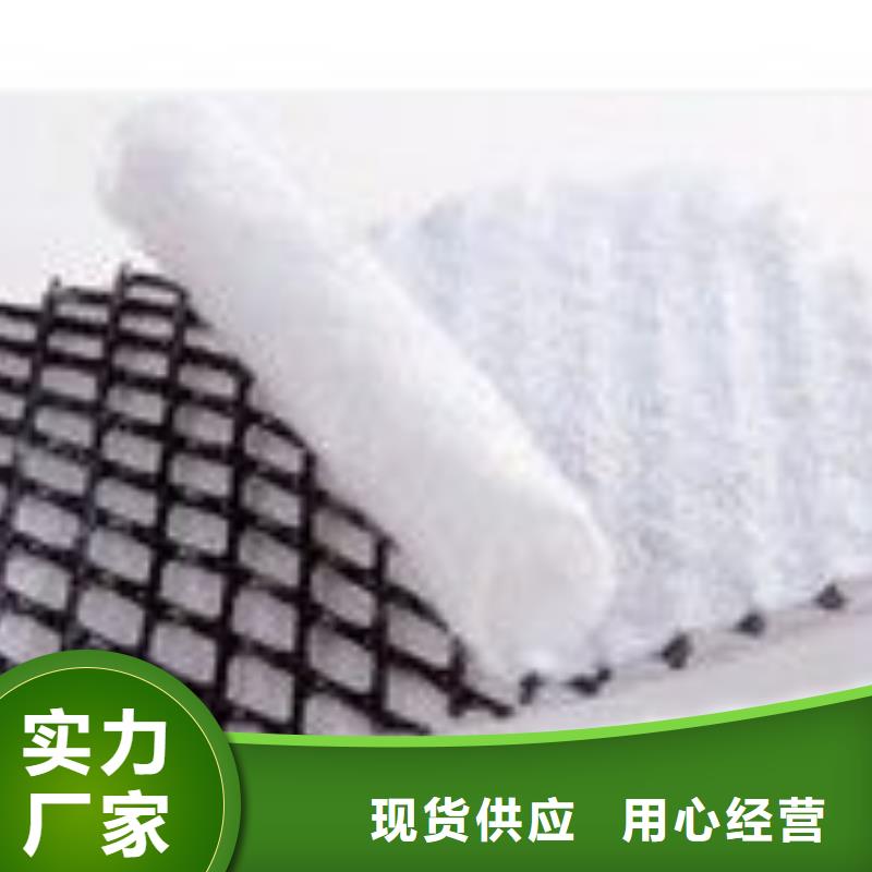 三维复合排水网商家报价】打造好品质
