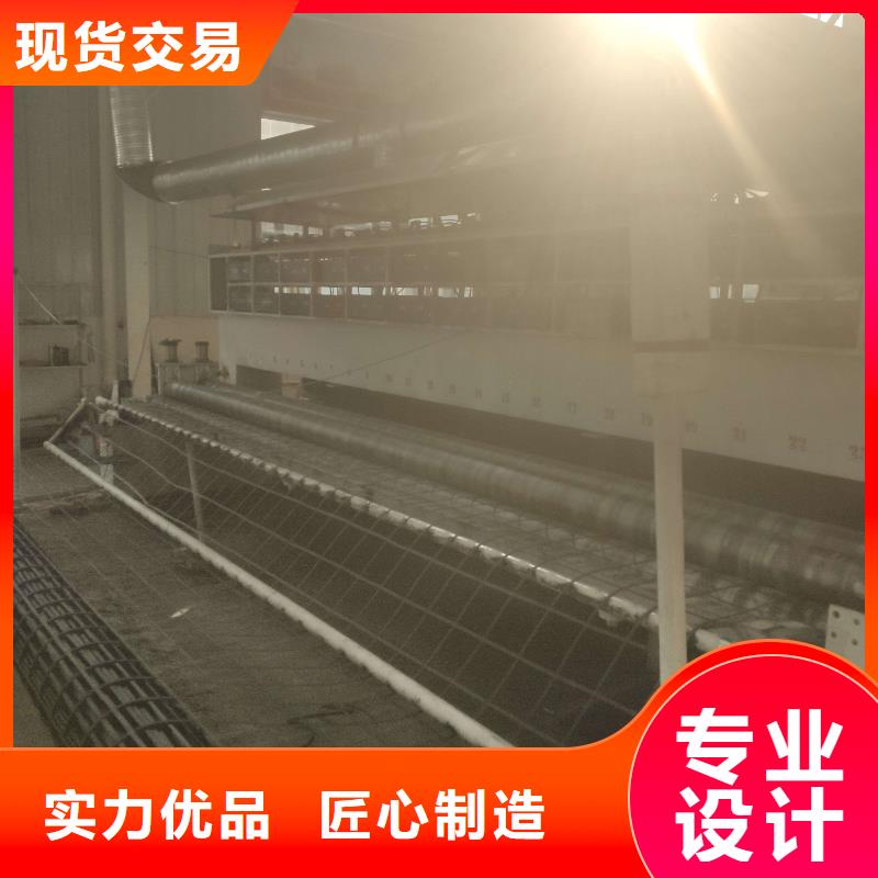 2025三沙市凸结点钢塑土工格栅规格型号齐全/可定制48小时发货