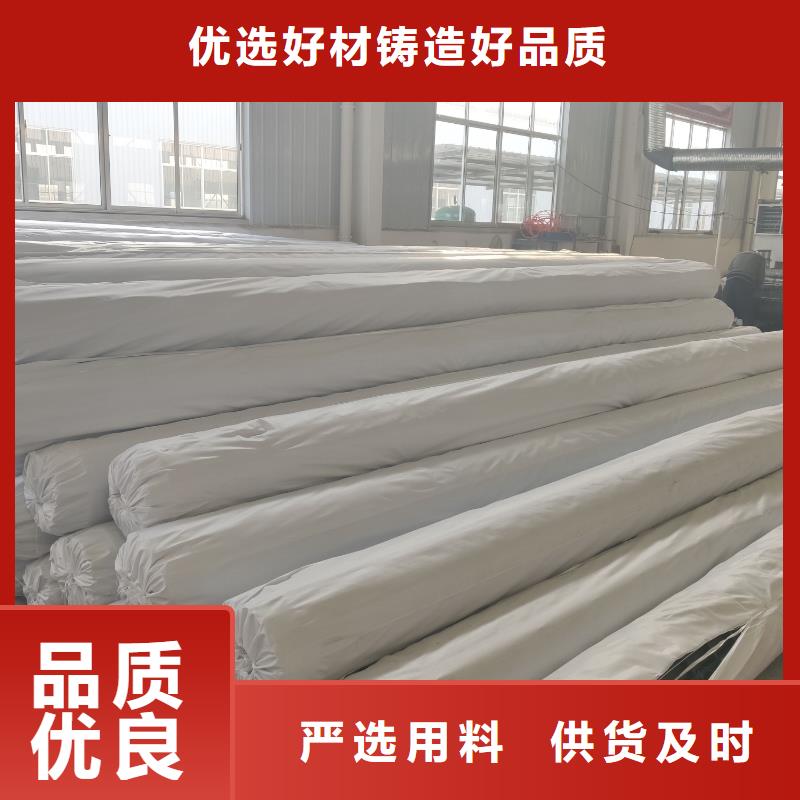 【钢塑土工格栅短丝土工布按需设计】厂家现货供应