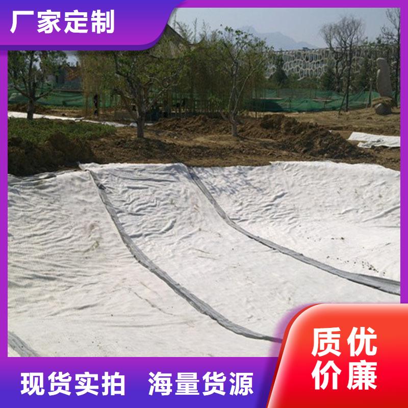 钠基膨润土防水毯实力商家质量可靠