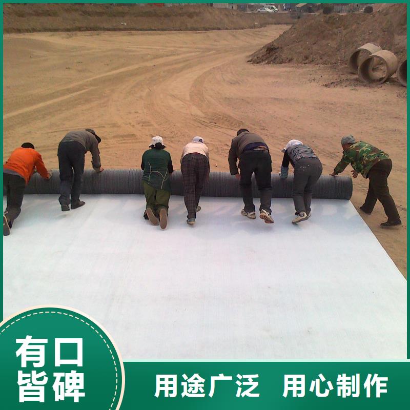 膨润土防水毯规格可定制一个起售