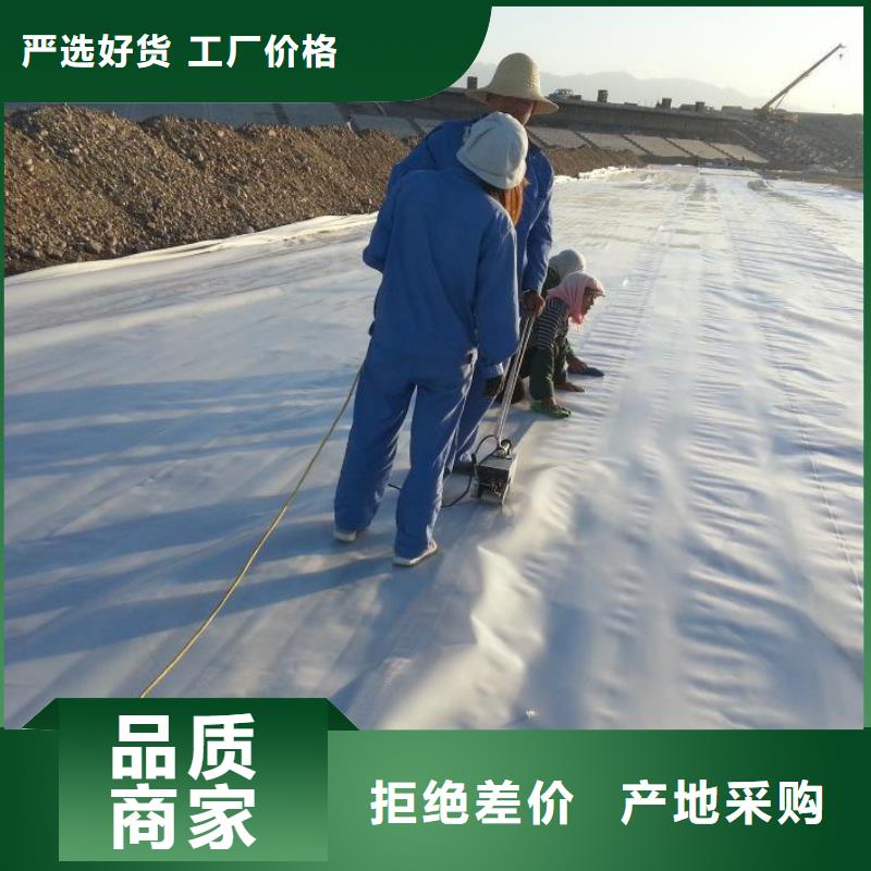 垃圾填埋防渗膜精选厂家追求品质