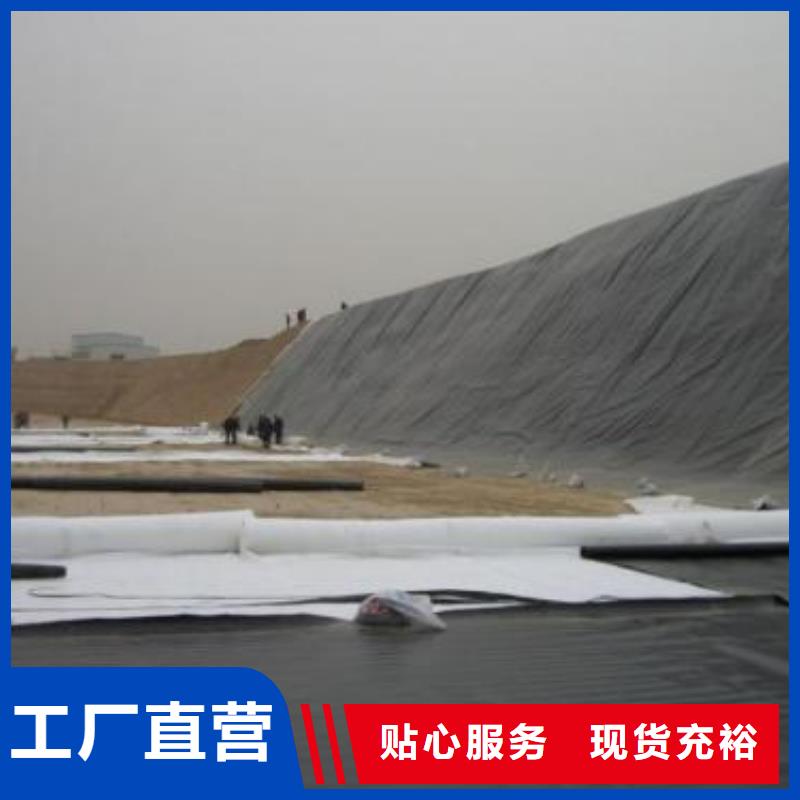 柱点糙面土工膜多规格可定制同城公司