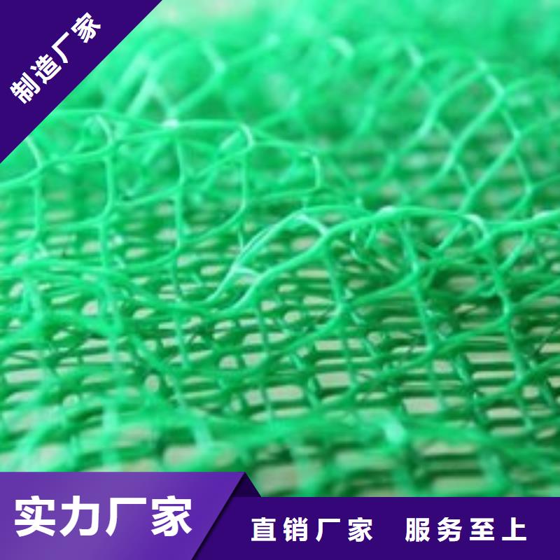 塑料三维植被网价格/2025年报价用心做产品