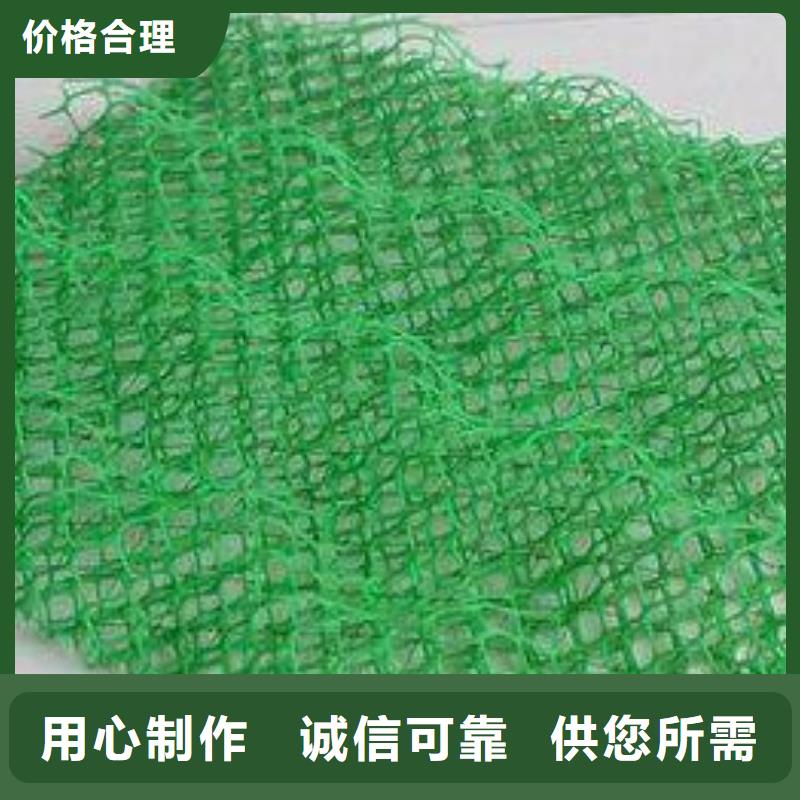 塑料三维植被网厂家直销/质优价廉本地厂家