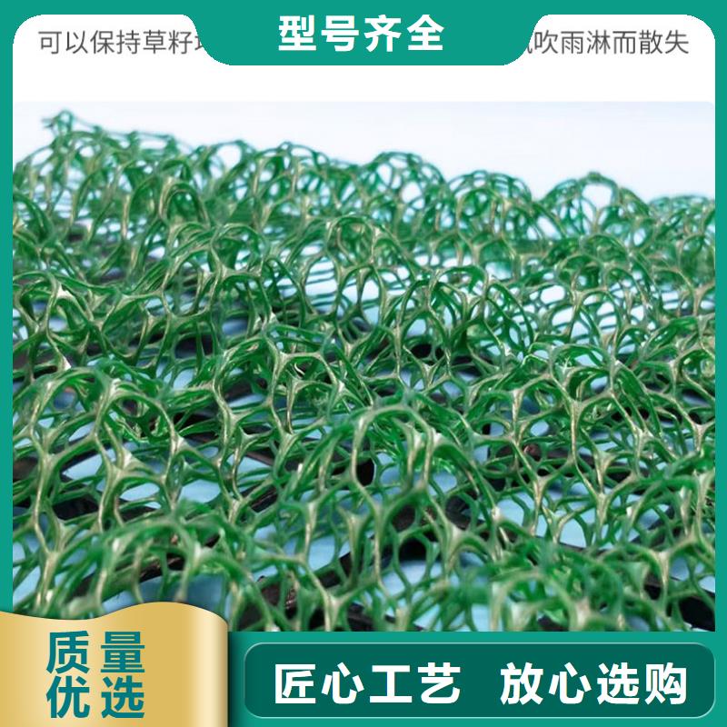 多规格三维植被网价格/报价当地生产商
