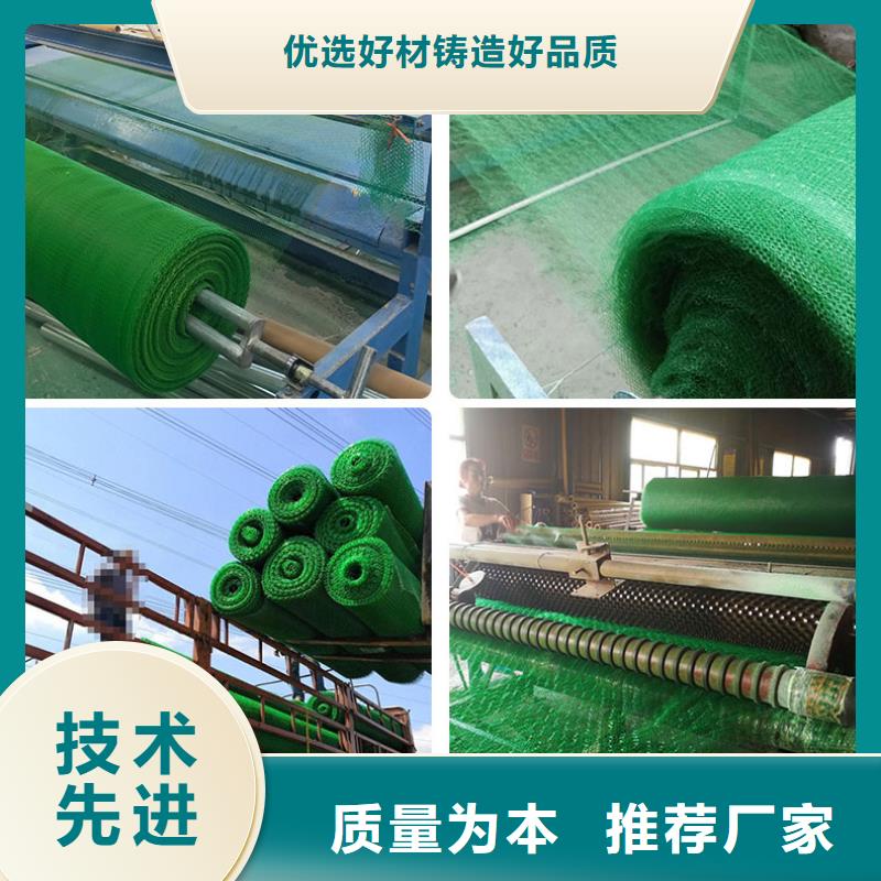 固土三维植被网本年度报价同城货源