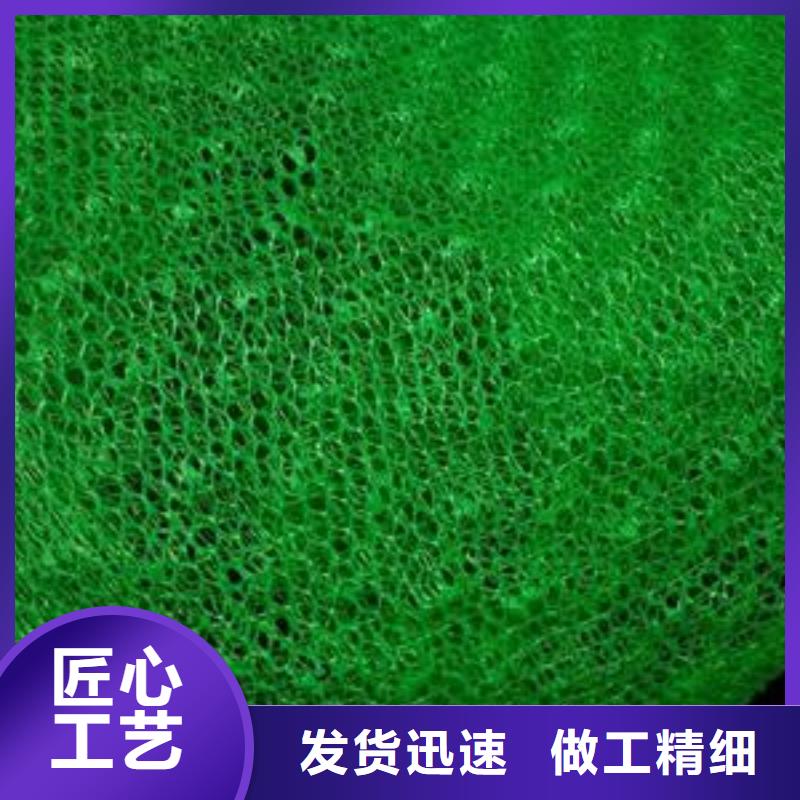 复合三维植被网价格/报价做工细致