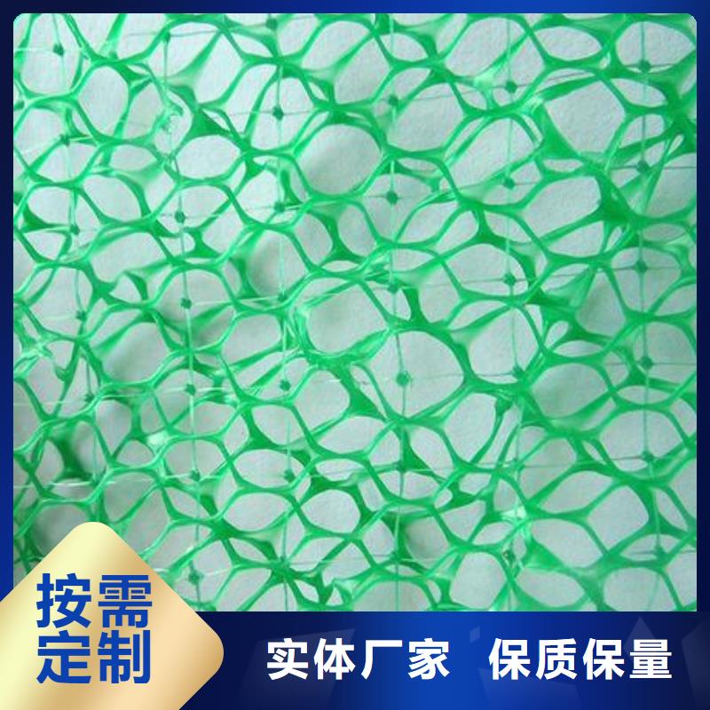 三维土工网垫多少钱一平厂家报价当地供应商