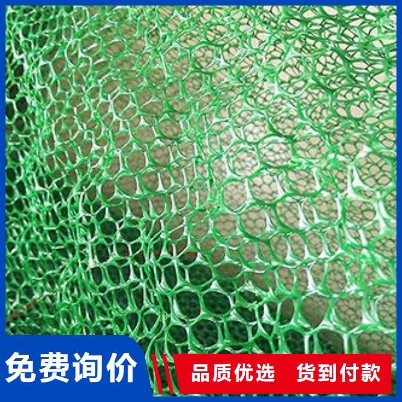 三维土工网垫优选多年老厂产品规格有哪些专业厂家