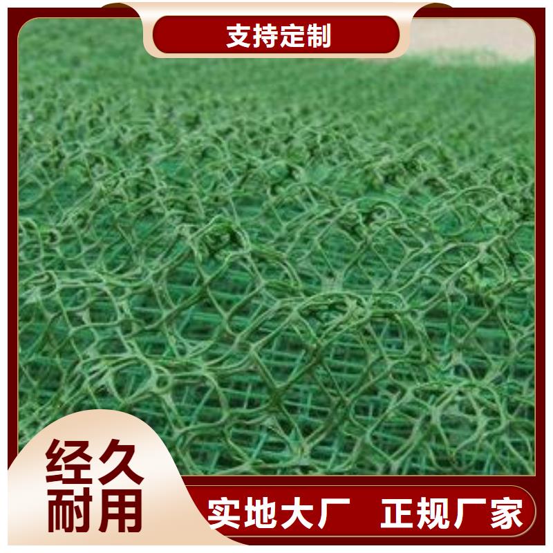 边坡防护三维植被网生产基地/发货快今日价格