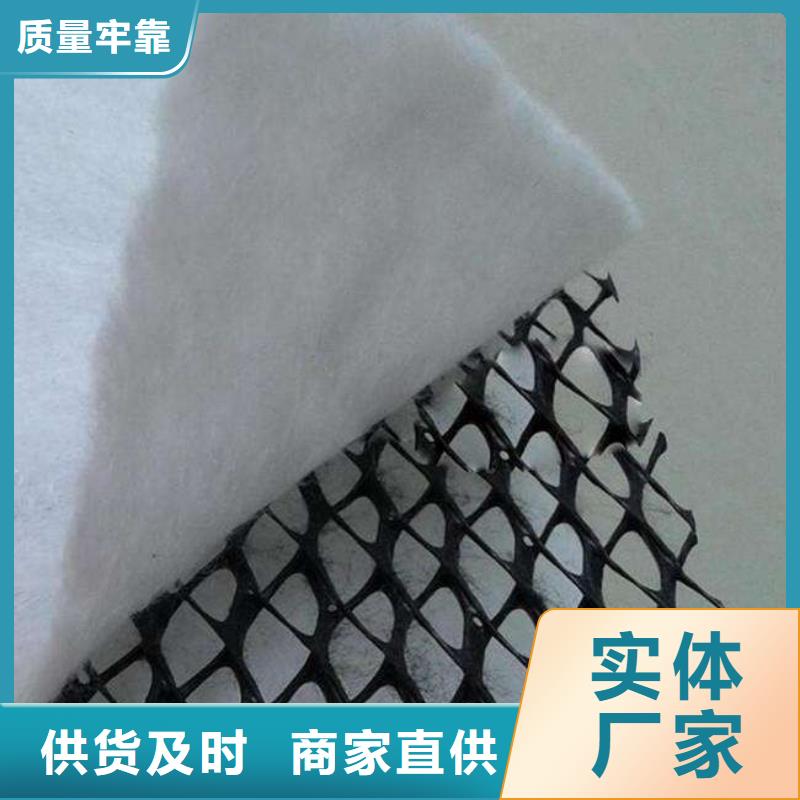 复合土工排水网生产厂家同城货源
