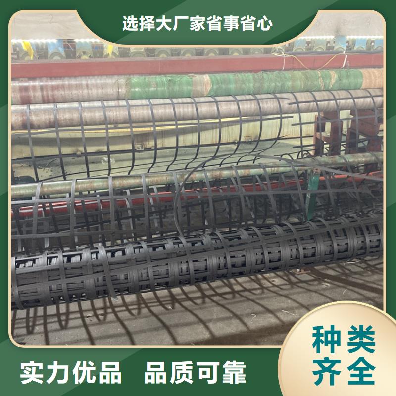 钢塑土工格栅价格本地生产厂家