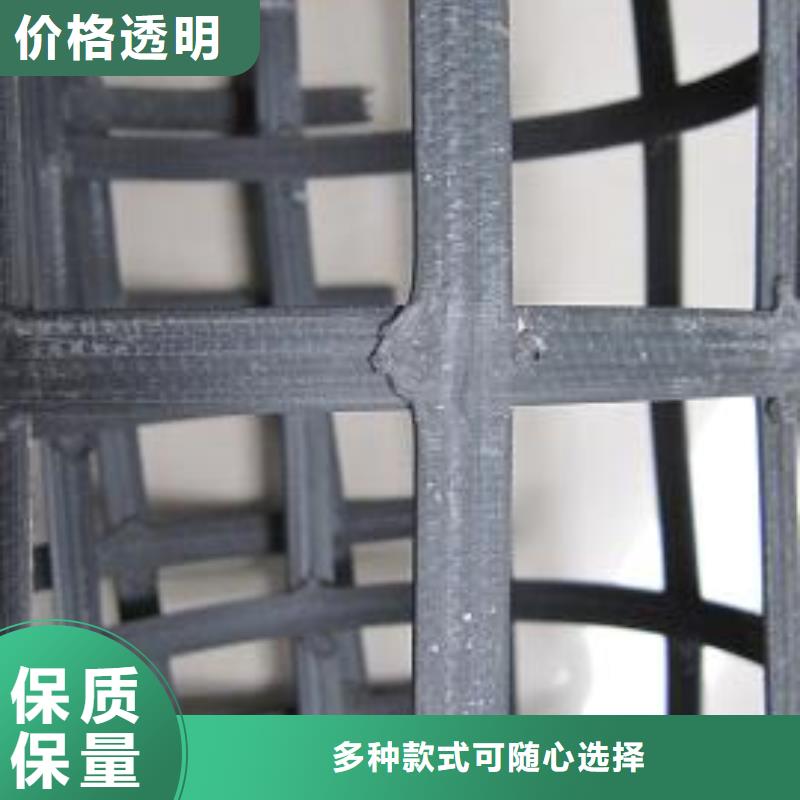 双向土工格栅生产厂家本地经销商