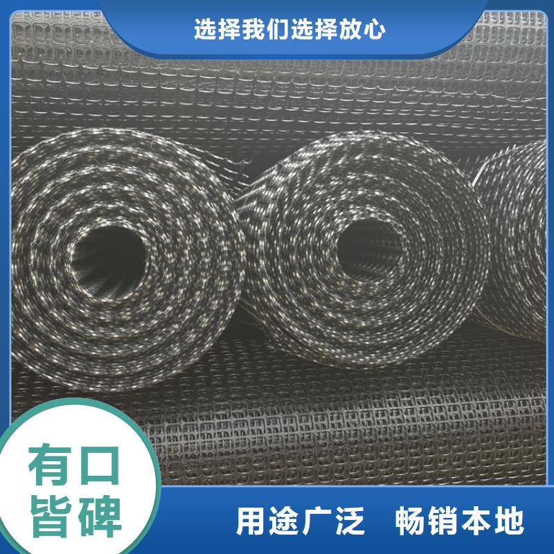 塑料土工格栅凸结点钢塑土工格栅为品质而生产每一处都是匠心制作