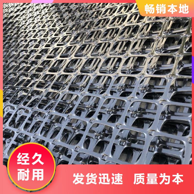 【塑料土工格栅复合土工膜厂家直销货源充足】本地公司
