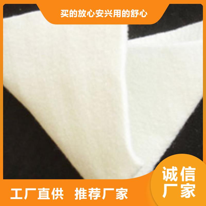 长丝土工布同城生产厂家