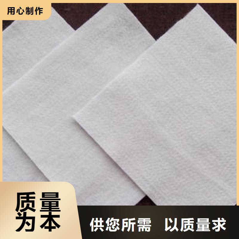土工布-【凸结点钢塑土工格栅】支持定制贴心售后定制销售售后为一体