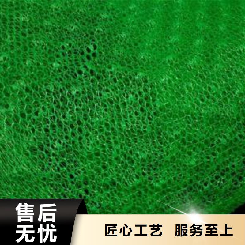 护坡三维网厂家绿化植草网价格生产基地同城生产厂家