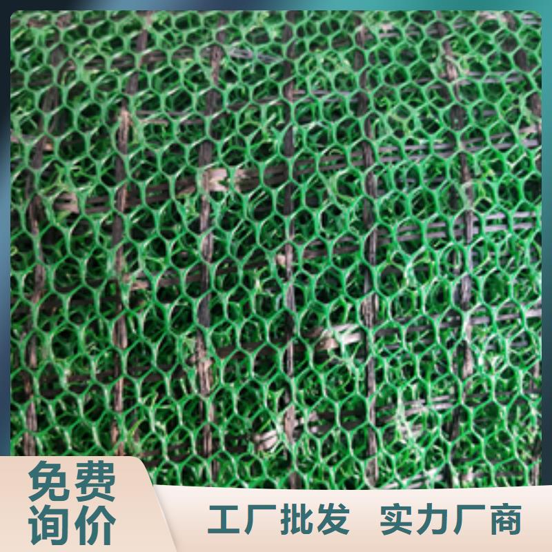 三维植草网生产厂家工厂认证