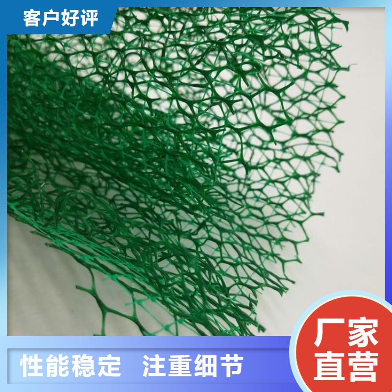 EM3三维植被网价格绿化植草网价格生产基地价格低