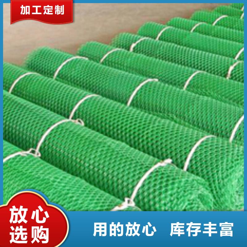 三维植被网厂家三维植被网垫价格生产基地同城生产厂家