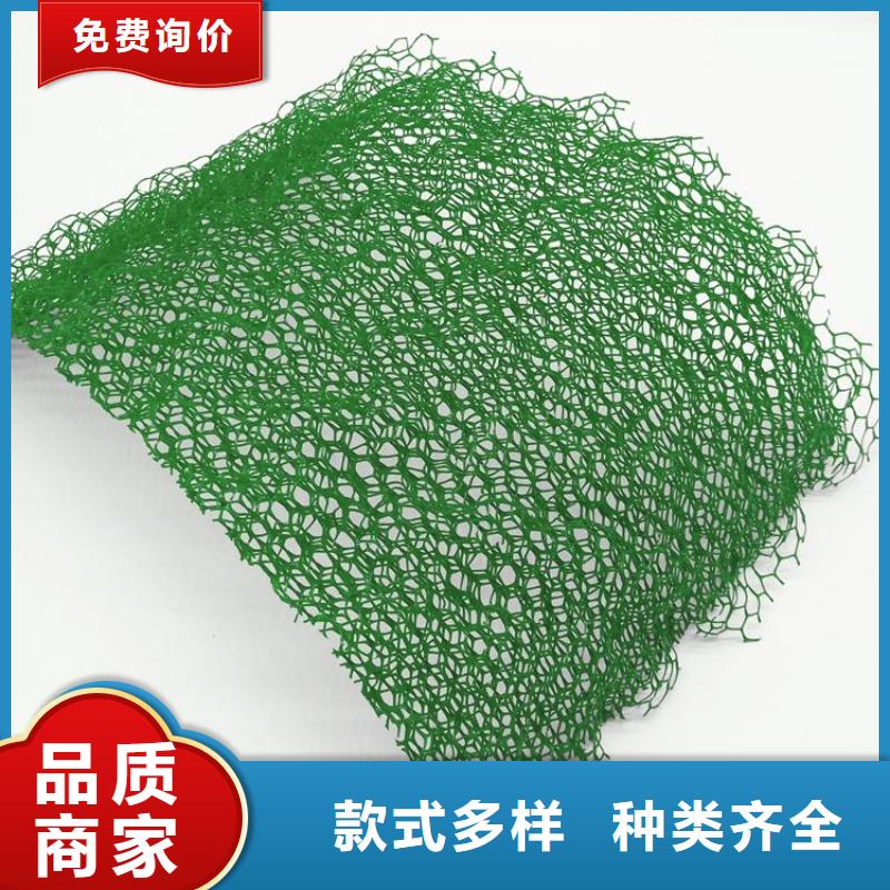 【三维植被网双向塑料格栅专注质量】欢迎新老客户垂询