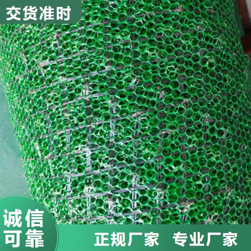 三维植被网_【三维土工网垫】注重细节当地生产厂家