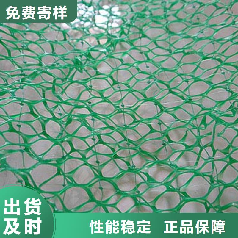 三维土工网垫厂家三维网垫价格生产厂家同城制造商